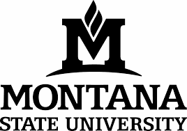 Montana State University - Bozeman Logo
