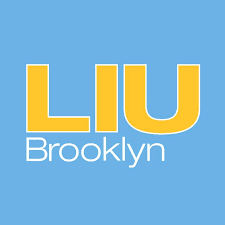INTO Group - Long Island University Brooklyn Logo