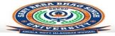 Sant Baba Bhag Singh University Logo