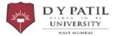 D Y Patil University Logo