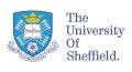 Study Group The University of Sheffield international College