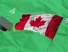 How to Apply for a University in Canada?