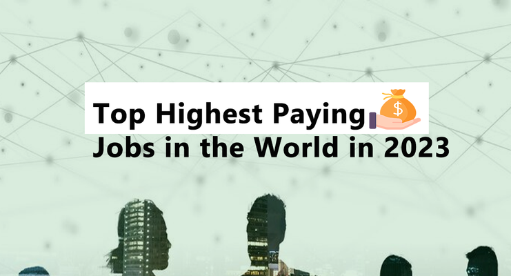 Top 20 Highest Paying Jobs in the World in 2023